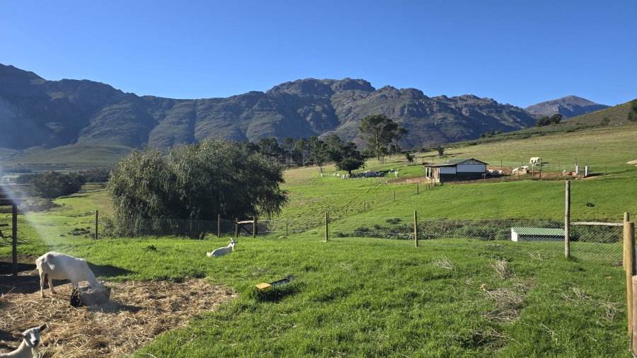 Commercial Property for Sale in Wellington Rural Western Cape